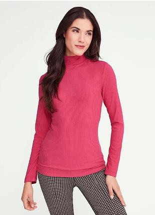 Водолазка в рубчик від німецького бренду esmara.