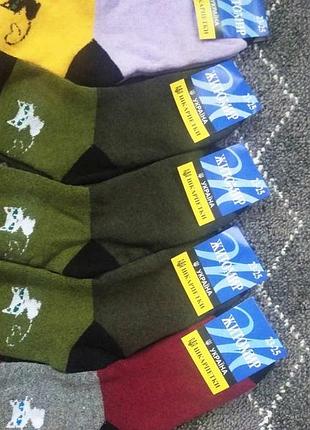 Шкарпетки жіночі махрові "ніскі етикетка житомир" класика бавовна/стрейч р/р 23-25.