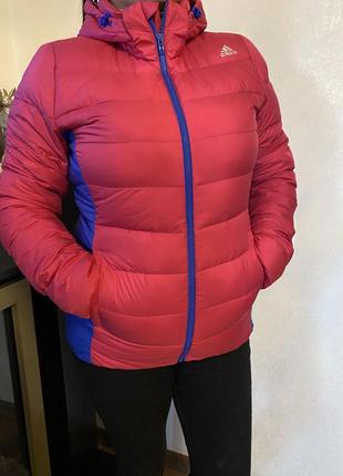 Куртка adidas, малинова з синім , з капешоном