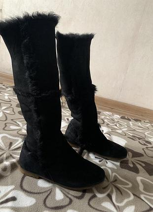 Чоботи stefani 37