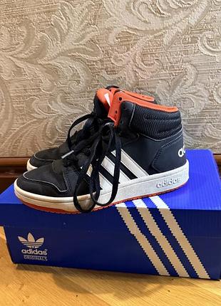 Adidas hoops