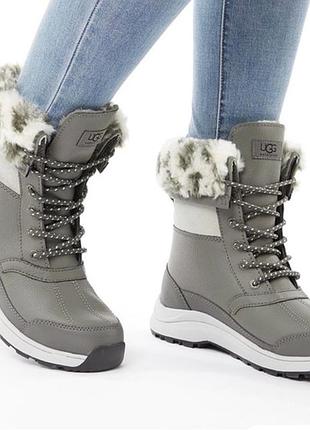 Жіночі черевики зимові ugg zauly leopard оригінал