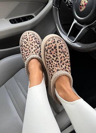 Трендові капці уггі ugg tasman leo