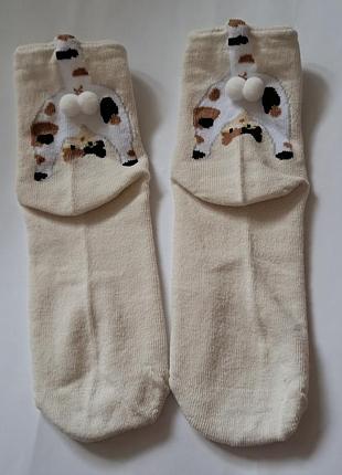 Шкарпетки з котиком милі шкарпетки 35-38 розмір милі шкарпетки з котом шкарпетки з котячими яйцями