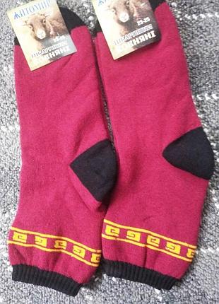 Носки женские махровые "носки этикетка житомир" классика хлопок/стрейч р/р 23-25.