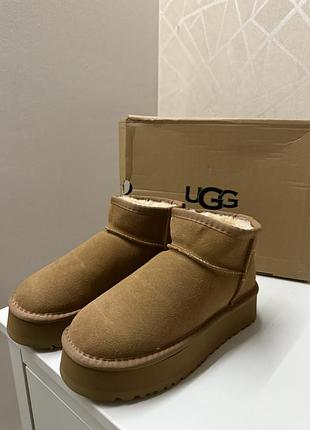 Жіночі уггі ugg classic ultra mini chestnut