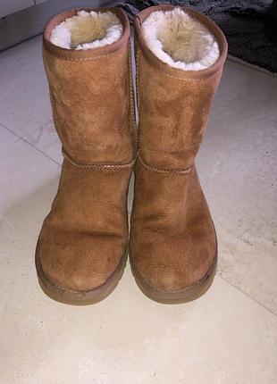 Ugg уггі угги оригінал натуральні натуральные овчина 5