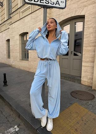 Блакитний велюровий спортивний костюм оверсайз кофта на змійці блискавці і штани аладіни плюшевий велюр спорт