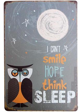 Металева декоративна картина сова 20х30 см (553)