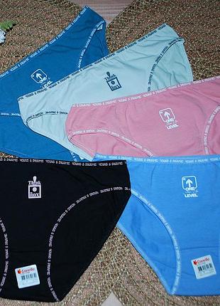 Набір 5 шт трусики сліпи батал s донелла donella