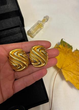 Вінтажні кліпси