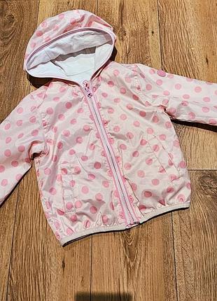 Куртка вітровка вітрівка тонка плащівка в горошок