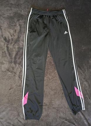 Спортивні штани