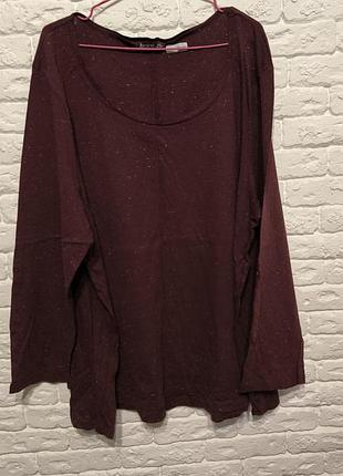 Фірмовий реглан лонгслив