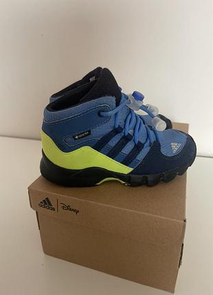 Черевики-ботинки terrex mid gtx