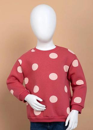 Світшот для дівчаток на 2-5 років 2