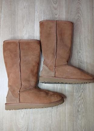 Жіночі натуральні ugg.