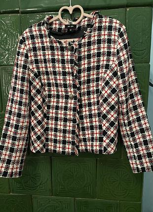 Пиджак saint + sofia хлопок 46 м