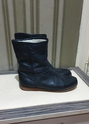 Сапоги кожаные 
зима
размер 37