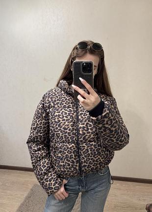 Куртка тигровий принт леопардовий принт, пуховик пуфер