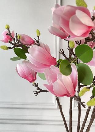 Магнолія штучна