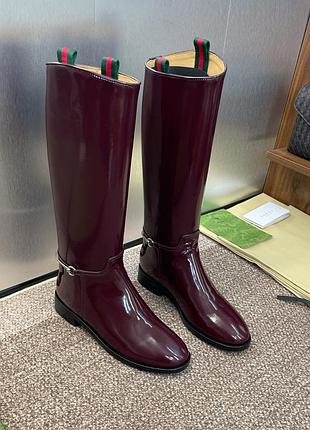 Чоботи жіночі