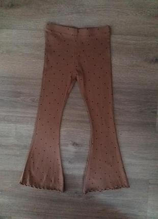 Лосіни штани кльош