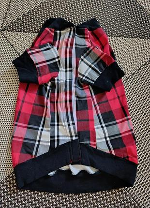 Одежда для домашних животных