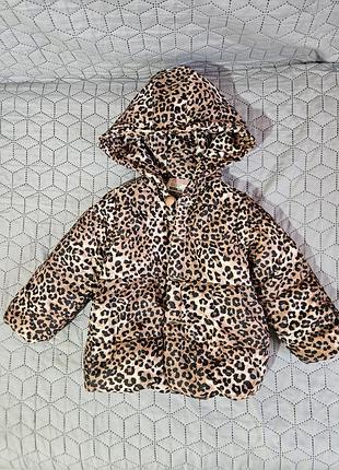 Куртка демисезонная лео