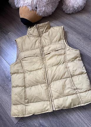 Жилетка жіноча