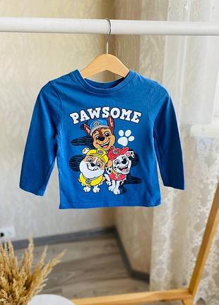 Реглан тонка кофтинка