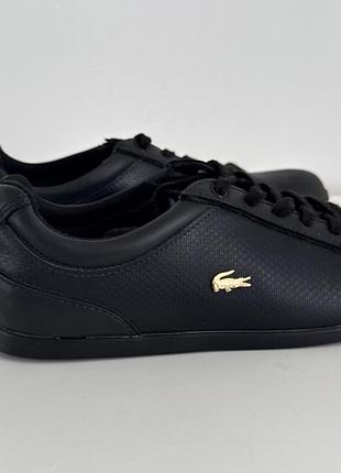 Кросівки lacoste
