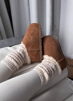 Жіночі уггі ugg pumped slide chestnut premium.