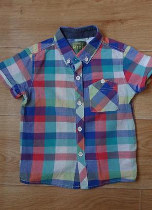 Яркая рубашка - тенниска next 12-18 мес