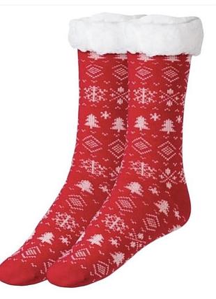 Шкарпетки жіночі