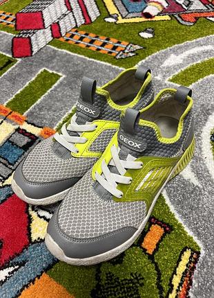 Кросівки geox жіночі