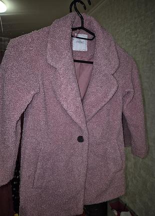 Пвльто теди