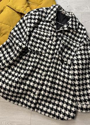 Куртка / пальто гусяча лапка