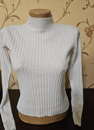 Водолазка в рубчик з високою горловиною