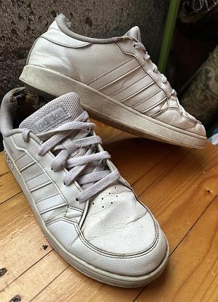 Кросівки adidas оригінал