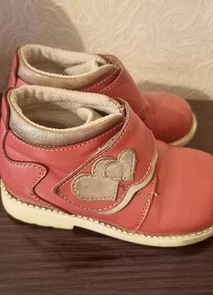 Демисезонные ботинки lapsi