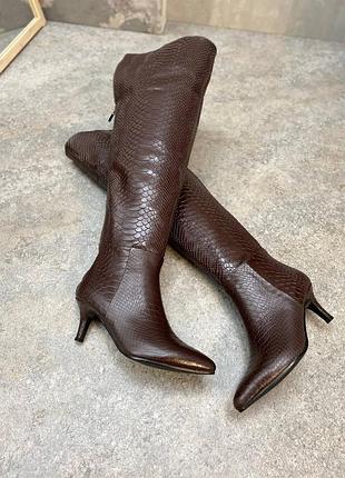 Ботфорты деми зима 5