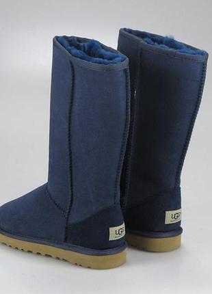 Ugg australia classic tall navy угги классические 36 (22см.)  синие (нави)