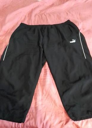 Бриджи мужские!