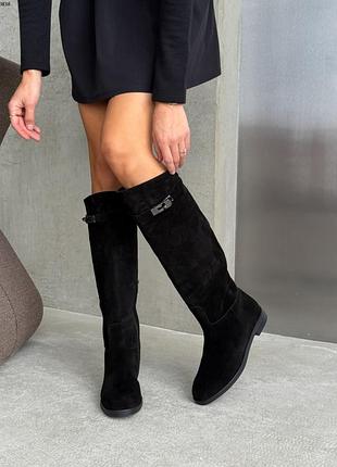 Стильные женские сапоги жокейки - роскошь в каждом шаге💛💙