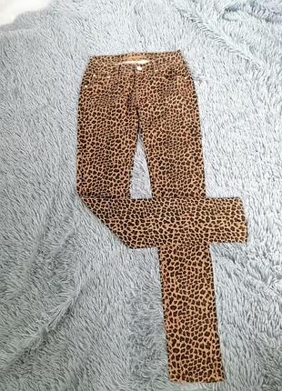 Штани принт леопард та пітон зміїна шкіра стрейч-катон