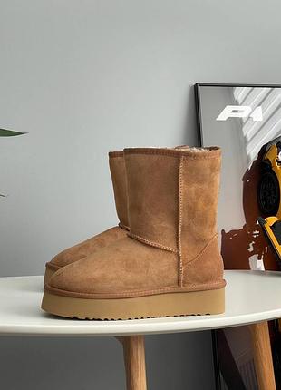 Угги угг уггі ugg short platform chestnut 2