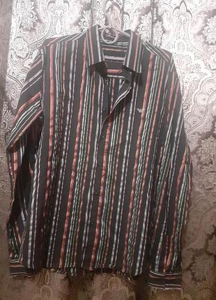 Сорочка бавовна emporio armani