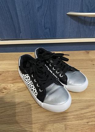 Кеди демі tu