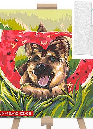 Картина по номерам живой арбуз 40x40 см kpne-40х40-02-08